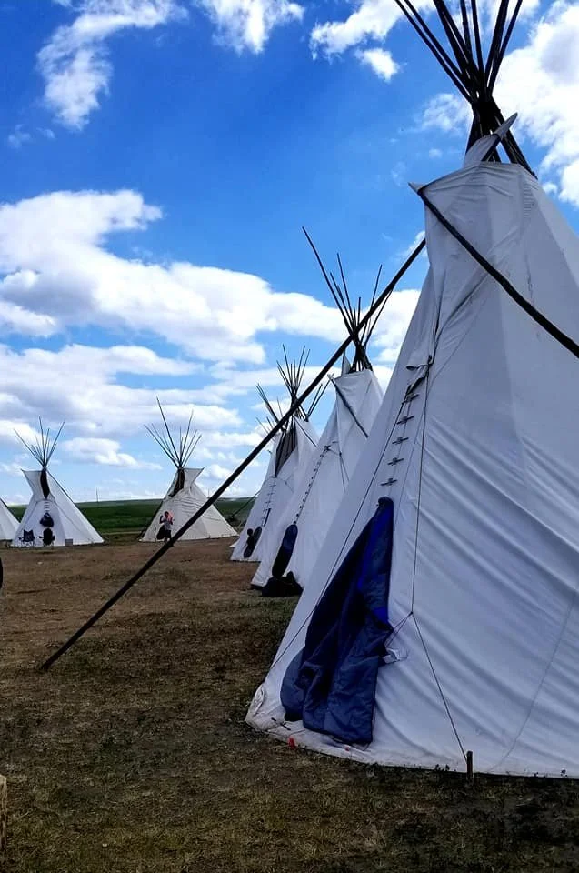 A row of white tipi tents set up on a grassy field under a partly cloudy blue sky.