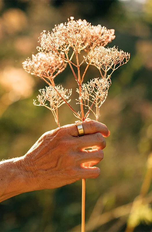 Anja Mai in einer ruhigen, achtsamen Alltagssituation, die ihr Verständnis von Wohlbefinden im Kleinen widerspiegelt. Zu sehen ist ihre Hand mit einer Blume.