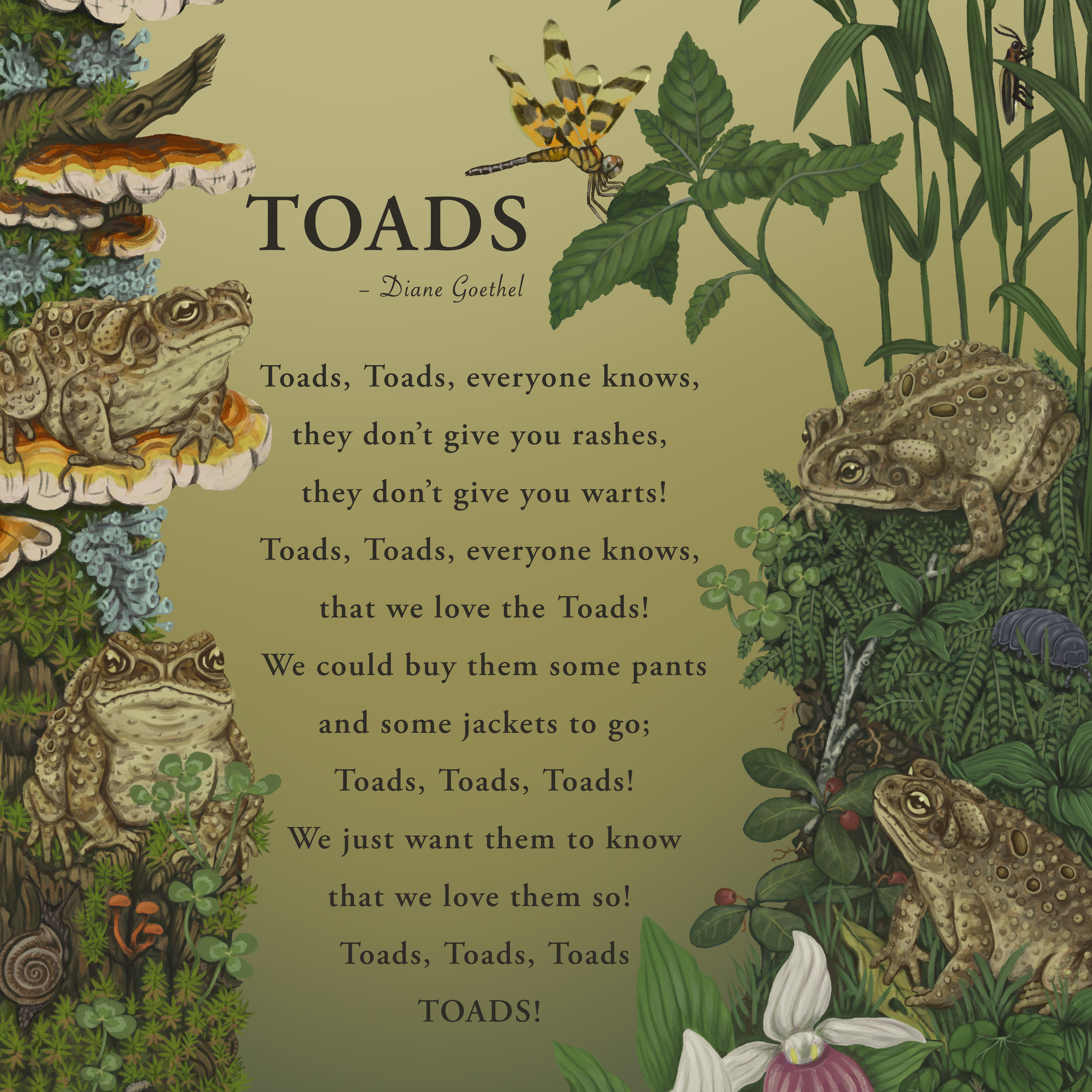 Toad Song