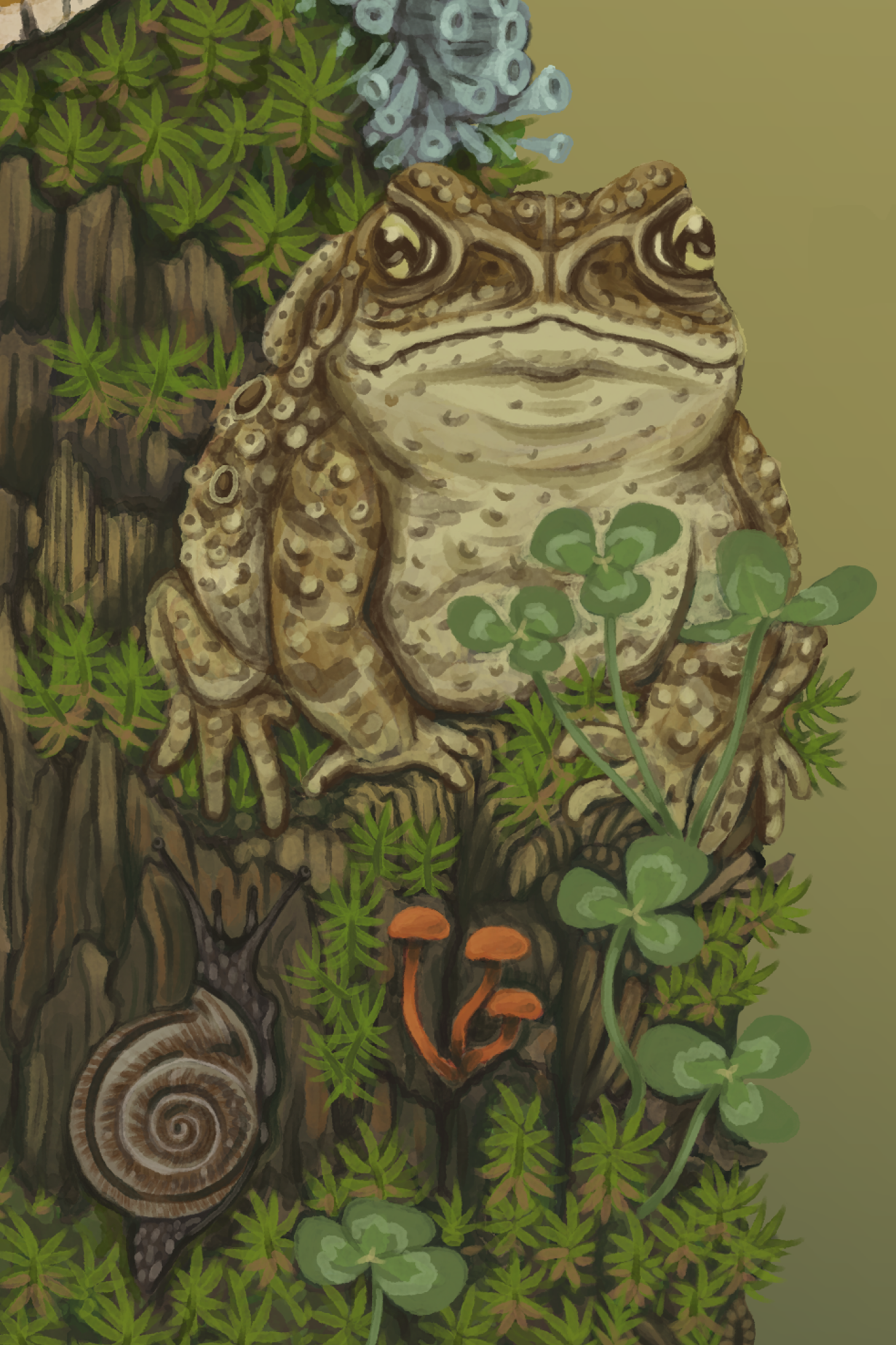 Toad Song Detail 2
