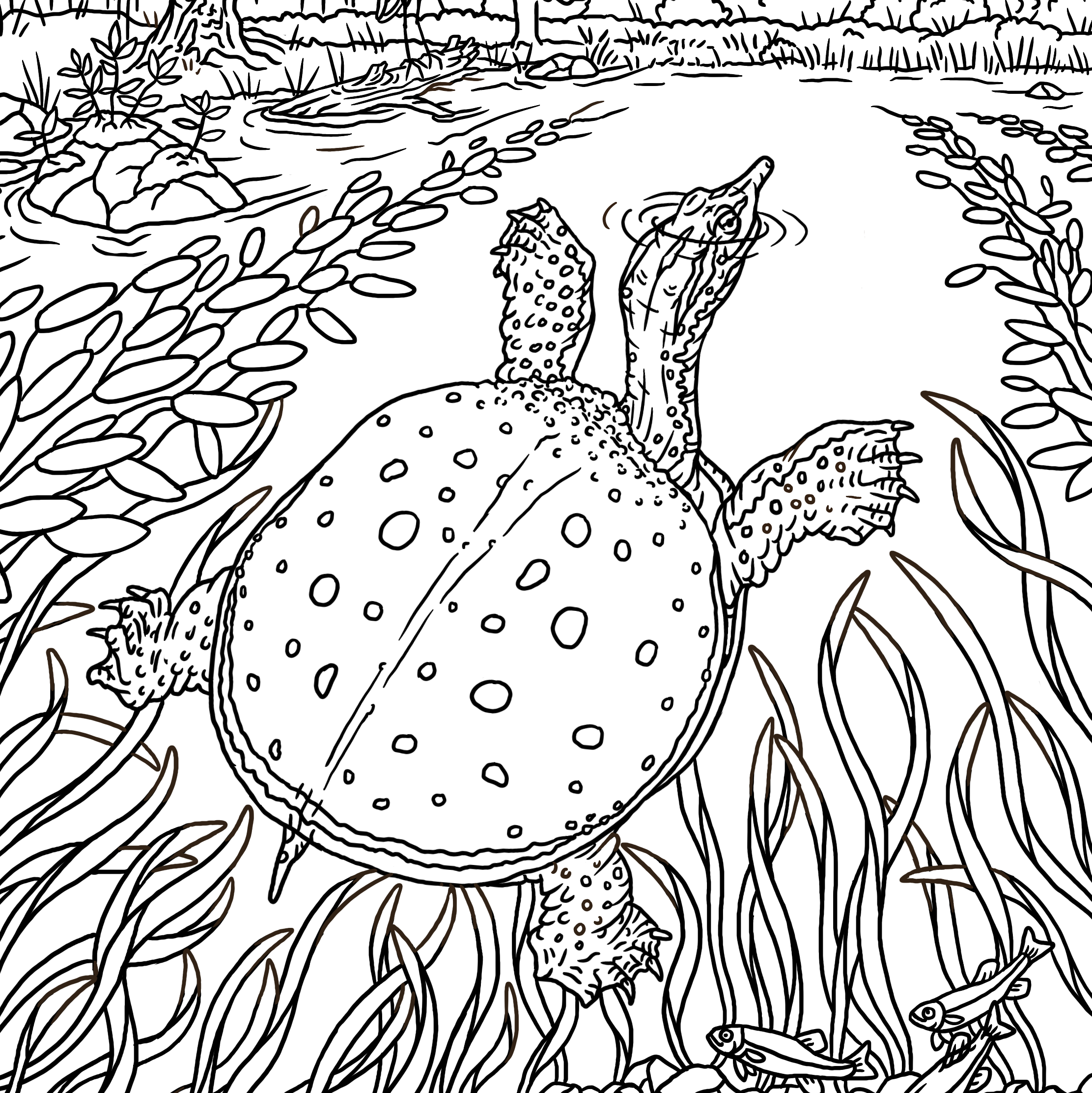 Coloring Pages