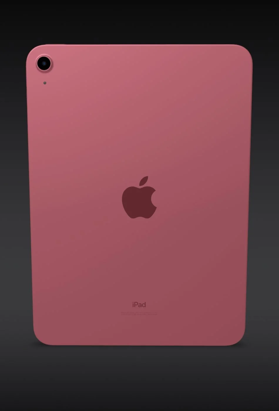 iPad 10th Gen