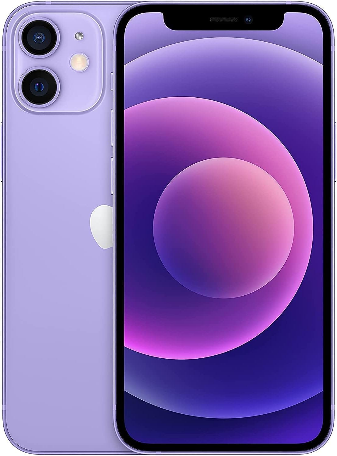 12 MINI PURPLE.jpg