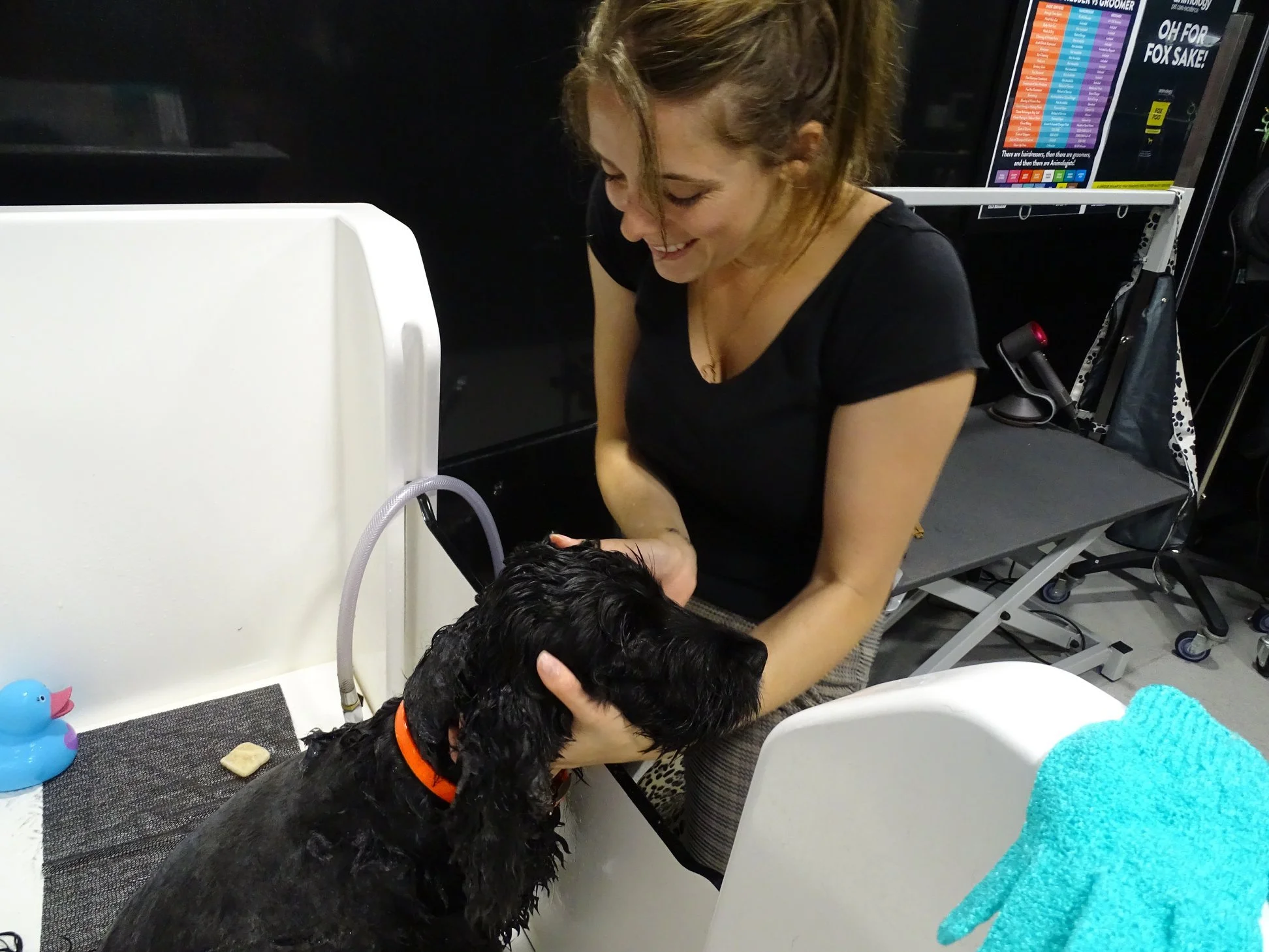 An Introduction to Canine Body Language in Grooming Contexts.