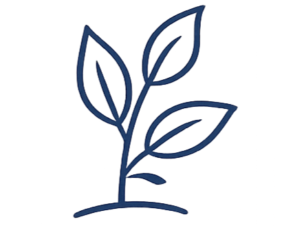 Line drawing of a plant with four leaves growing from a stem.
