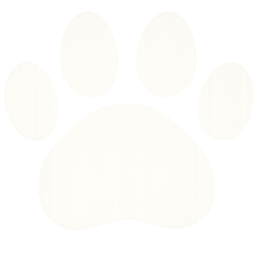 A white paw print icon on a black background.