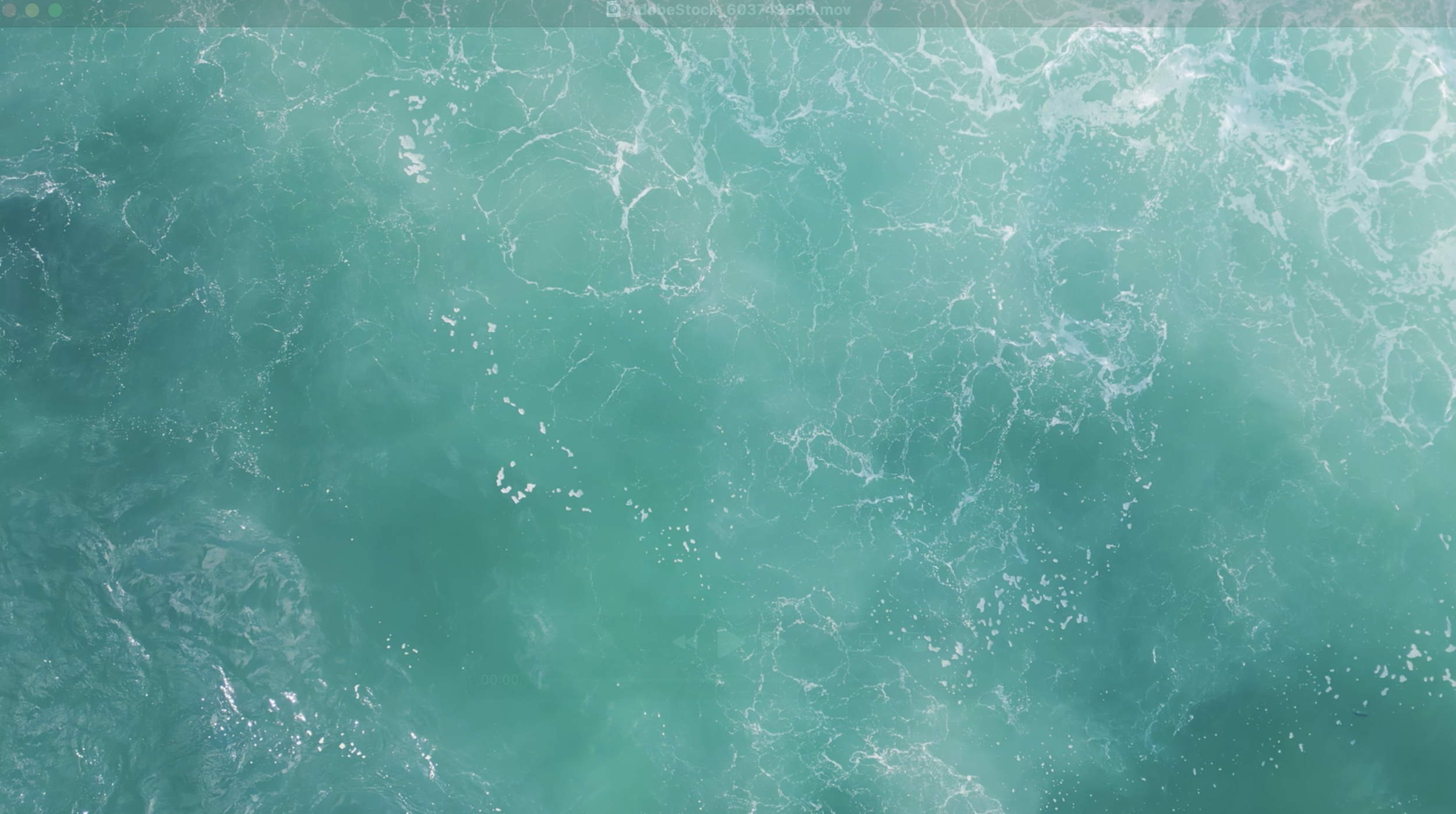 Screenshot 2026-07-22 at 12.40.18 PM.png
