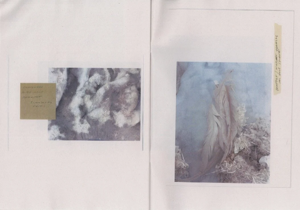 Scan_25_300.jpg