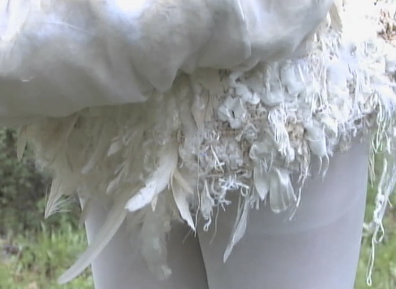 bird butt.png