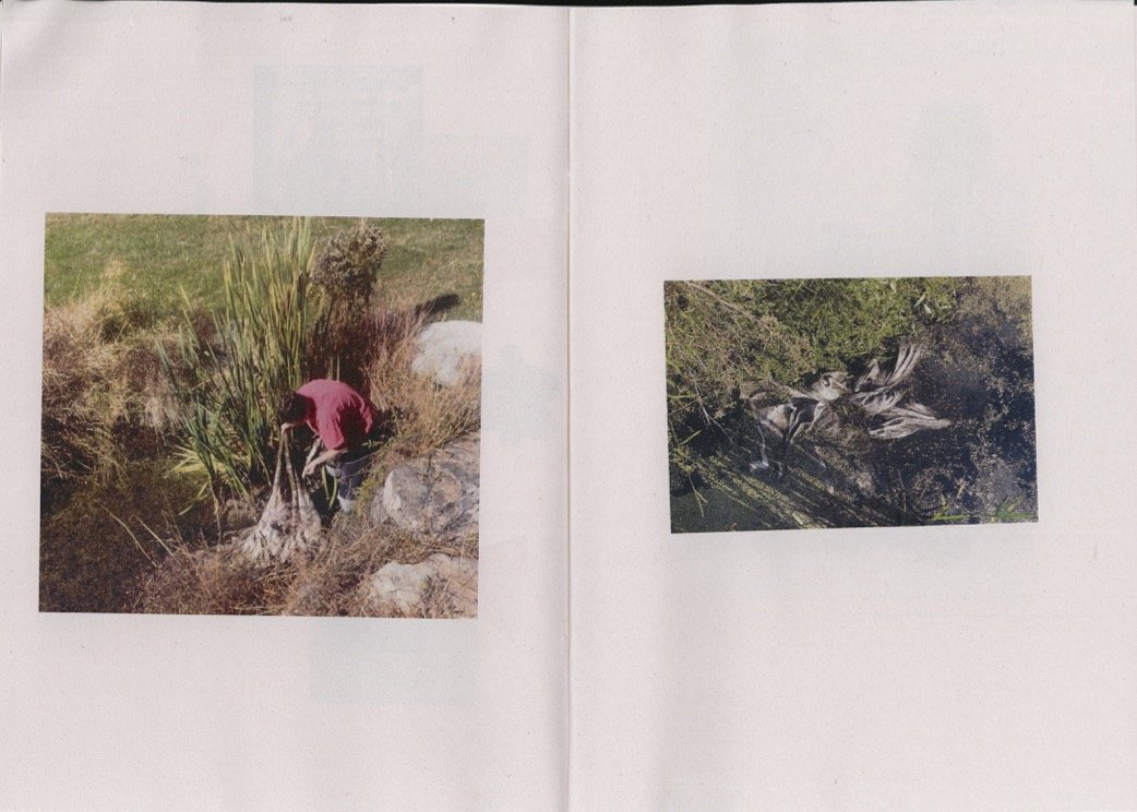 Scan_105_300.jpg
