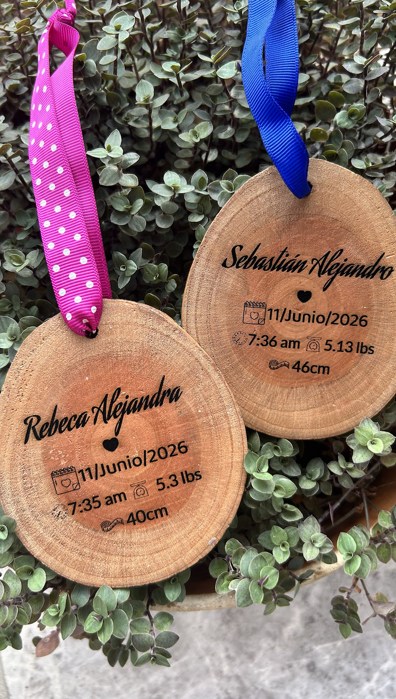 Wooden birth announcements with names Sebastián Alejandro and Rebeca Alejandra, birth date June 11, 2026, time, weight, and height, hanging with pink and blue ribbons over green foliage.