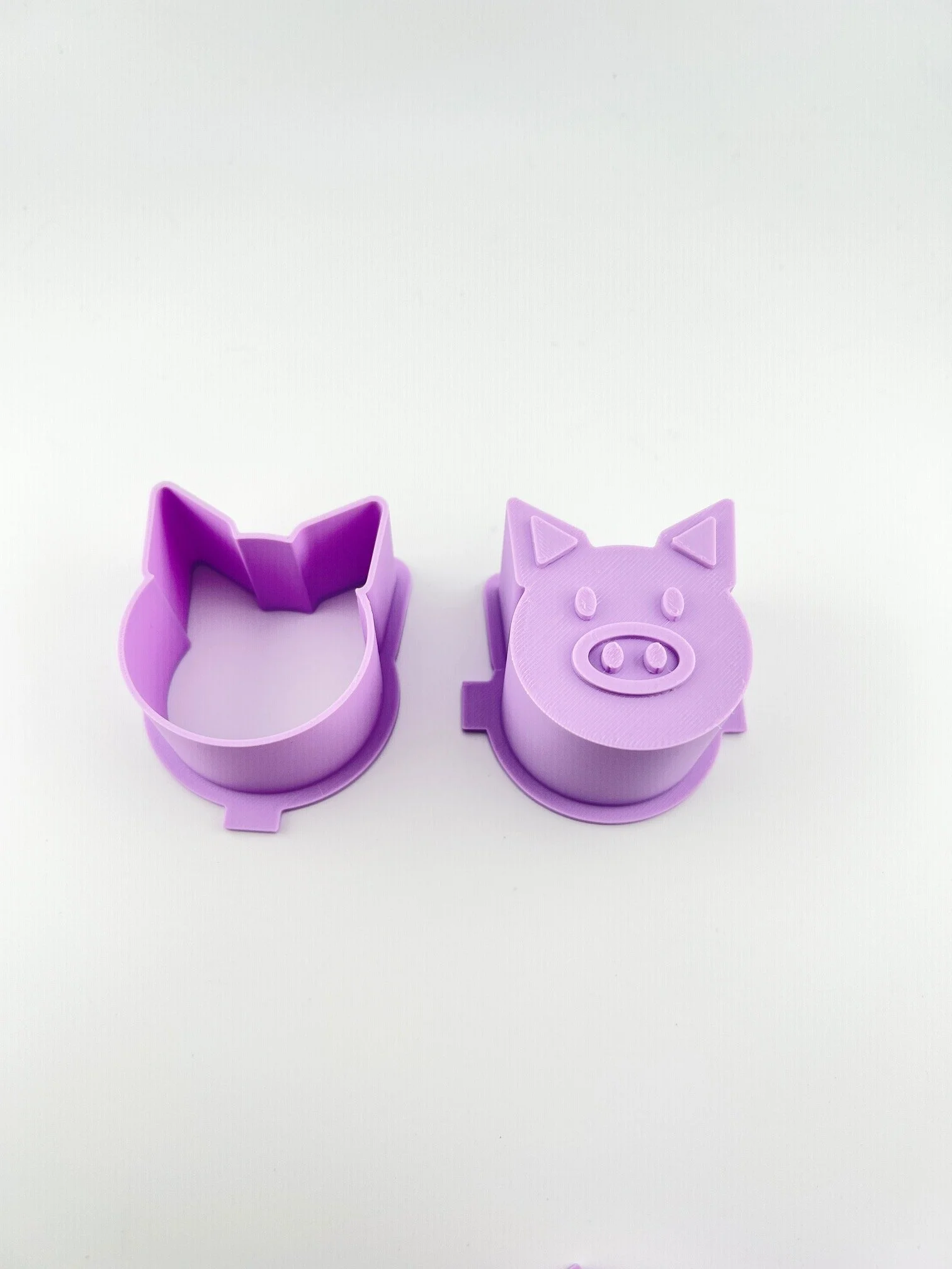 Pig Face.jpg