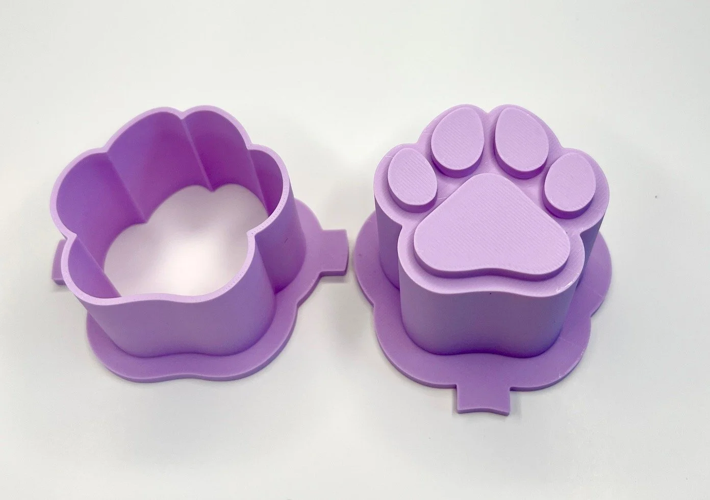 Paw Print 1.jpg