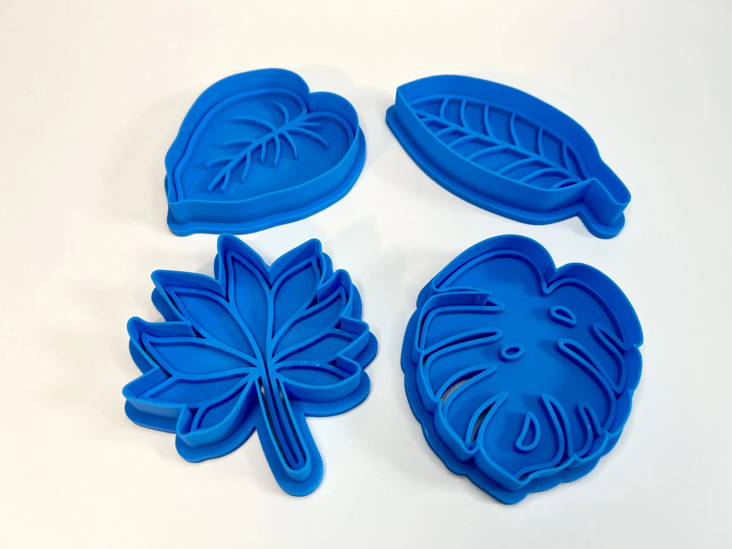 Leaves Set 1.jpg