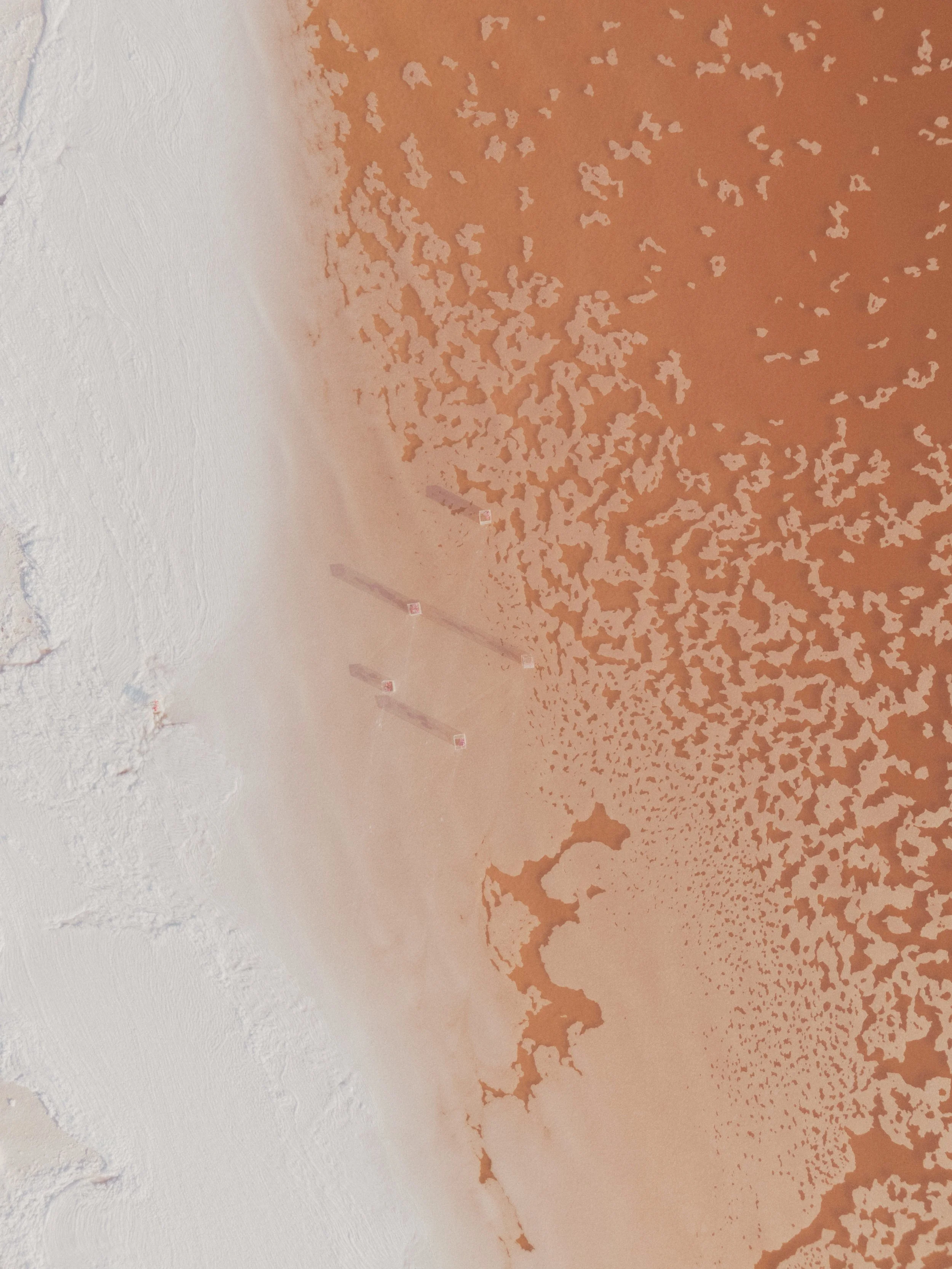 Close-up of a textured surface with a transition from white to a reddish-brown area with irregular patches.