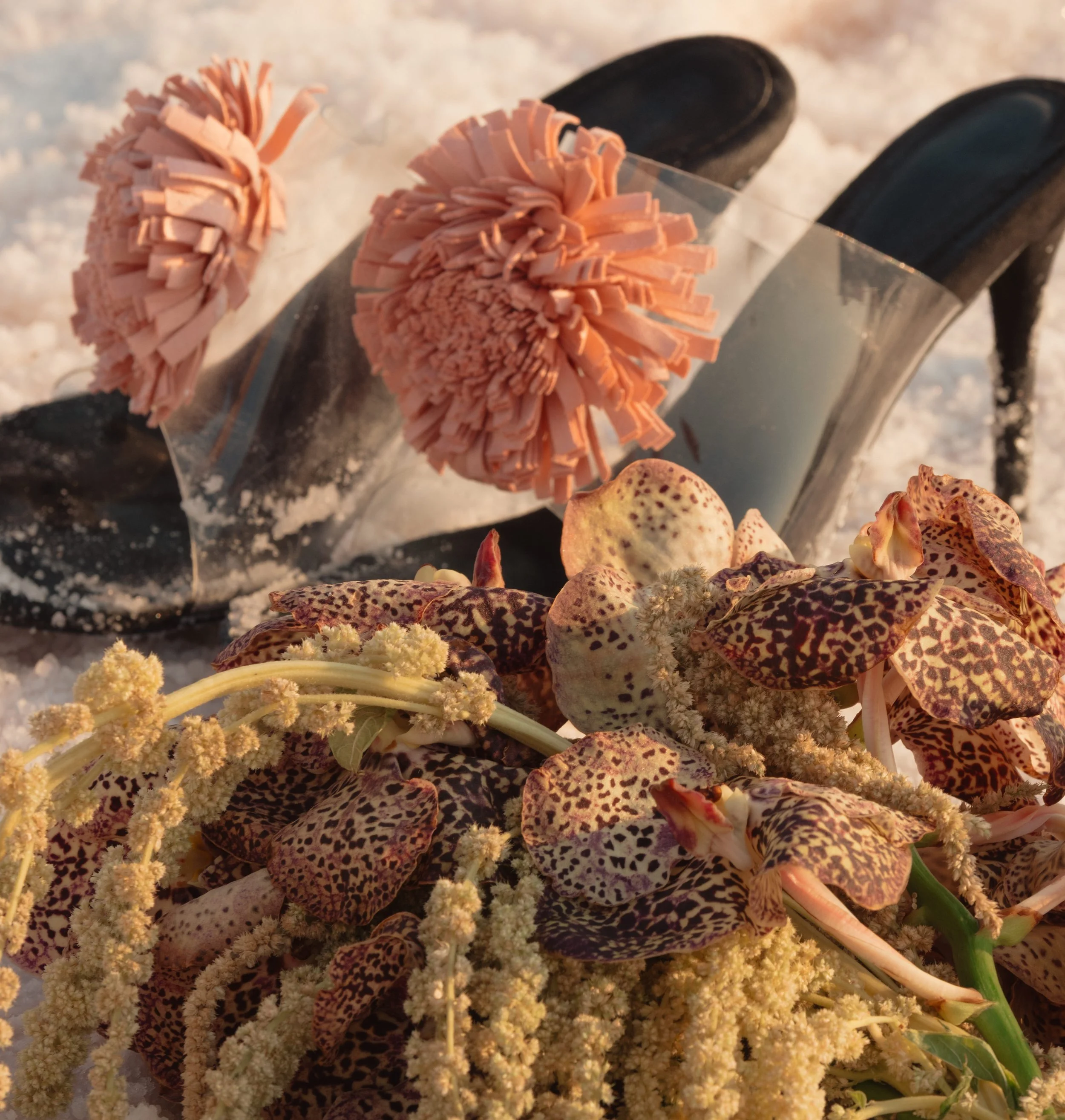 Close-up of a black high-heeled shoe with pink decorative pom-poms, surrounded by green leaves, brown spots on leaves, and small white flowers in snow.