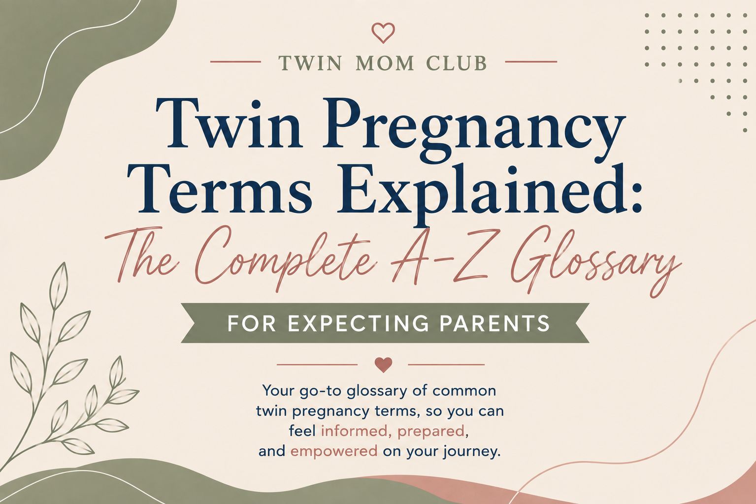 twin-pregnancy-terms-explained