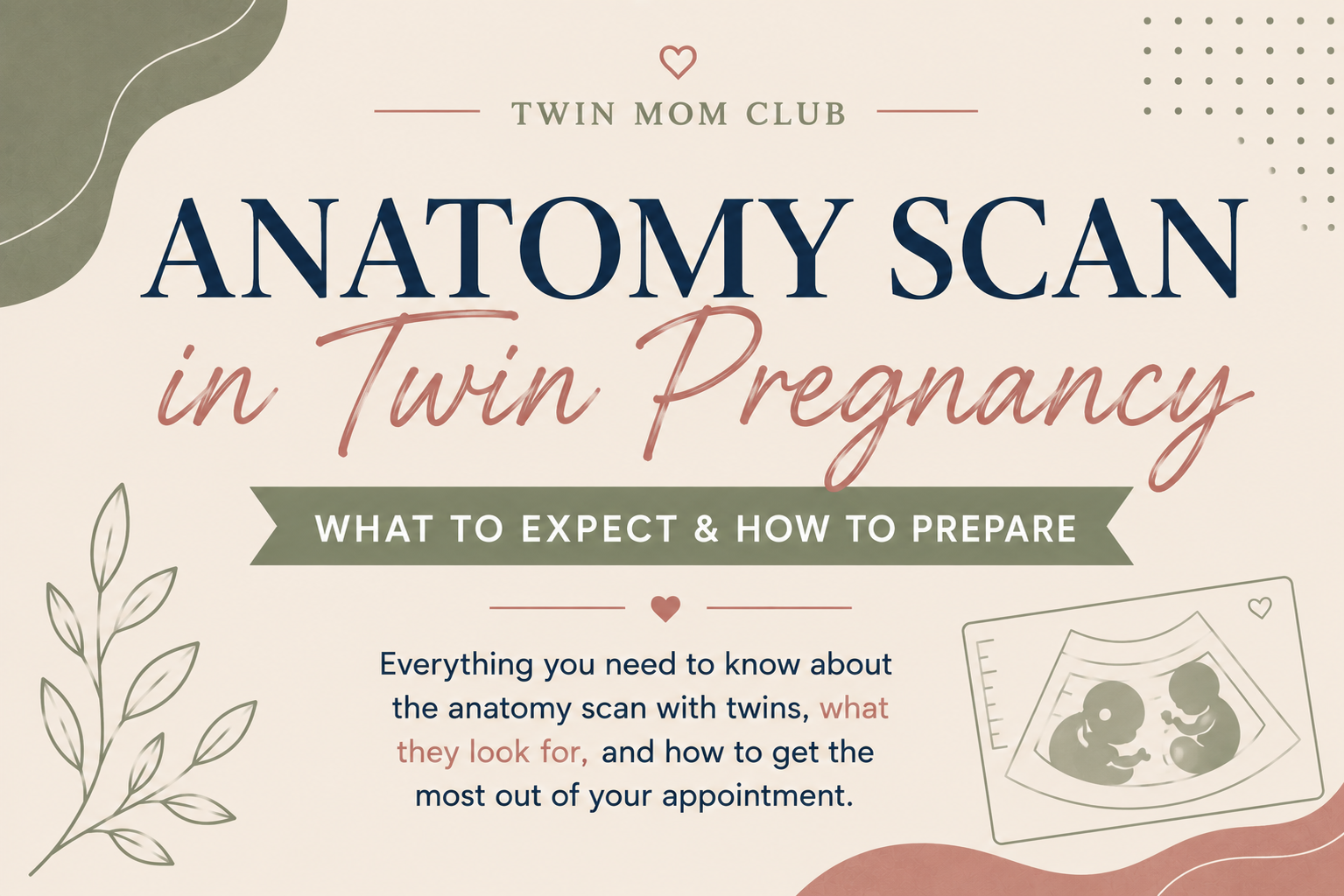 twin-pregnancy-anatomy-scan