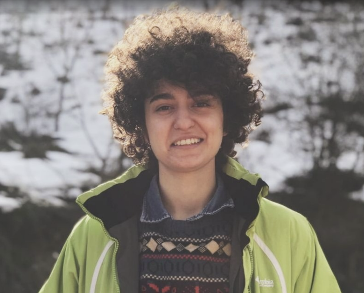 Parisa Rekavandi