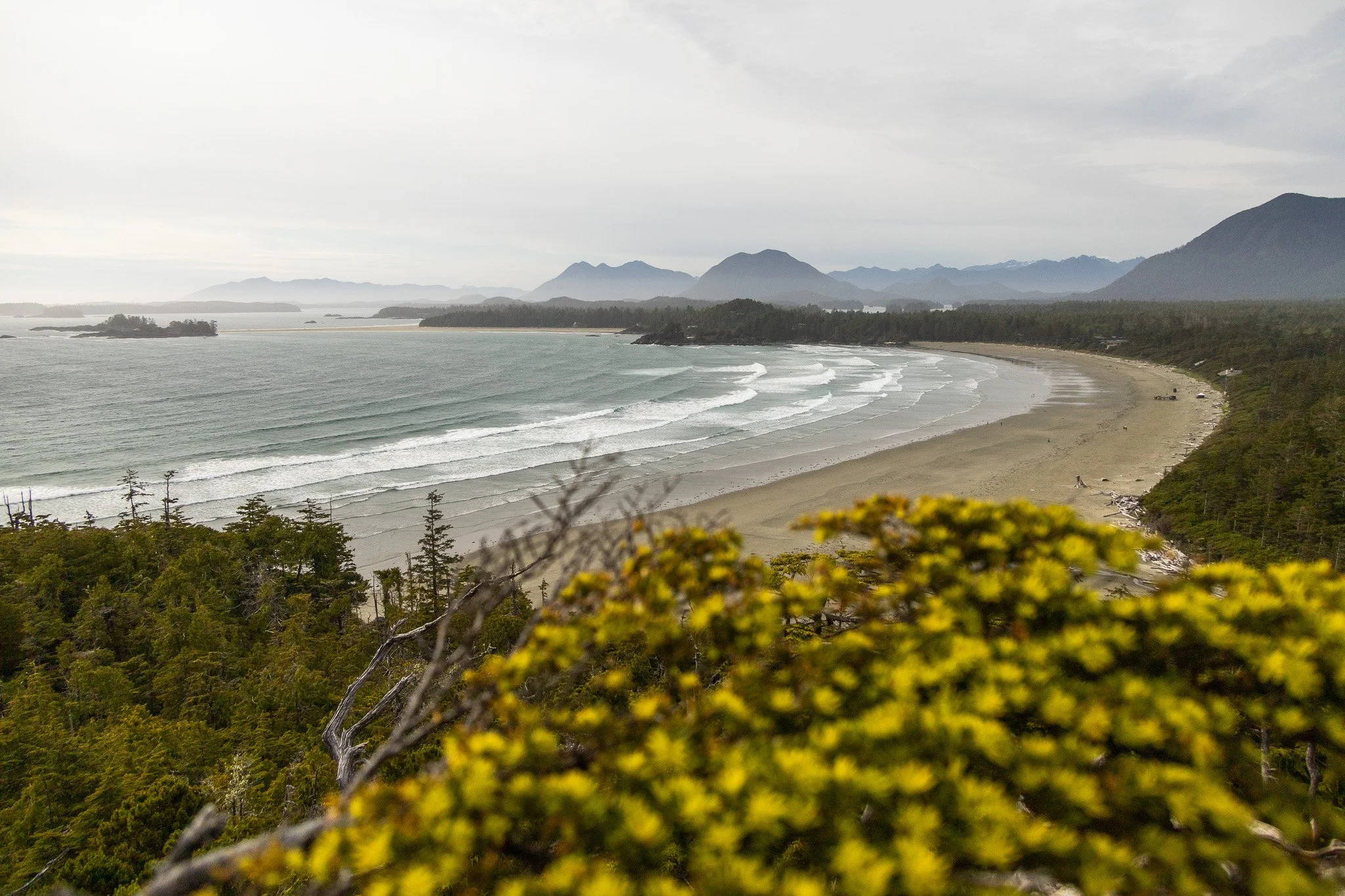 A scenic coastal landscape with a sandy beach, ocean waves, dense green trees, and distant mountains under a cloudy sky.