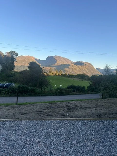 Scenic view of mountains under a clear blue sky, with a grassy field, trees, and a road in the foreground.