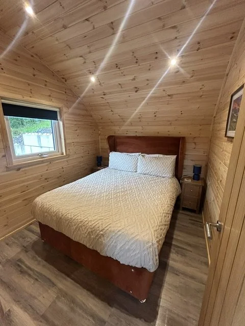 Wood-paneled bedroom with a queen-sized bed, two pillows, nightstand with a lamp, and a window showing greenery outside.