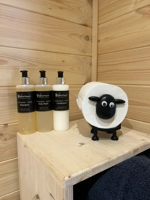 Shampoo, body wash, and conditioner bottles next to a toilet paper roll with a sheep-shaped holder with big googly eyes, on a wooden shelf in a bathroom.