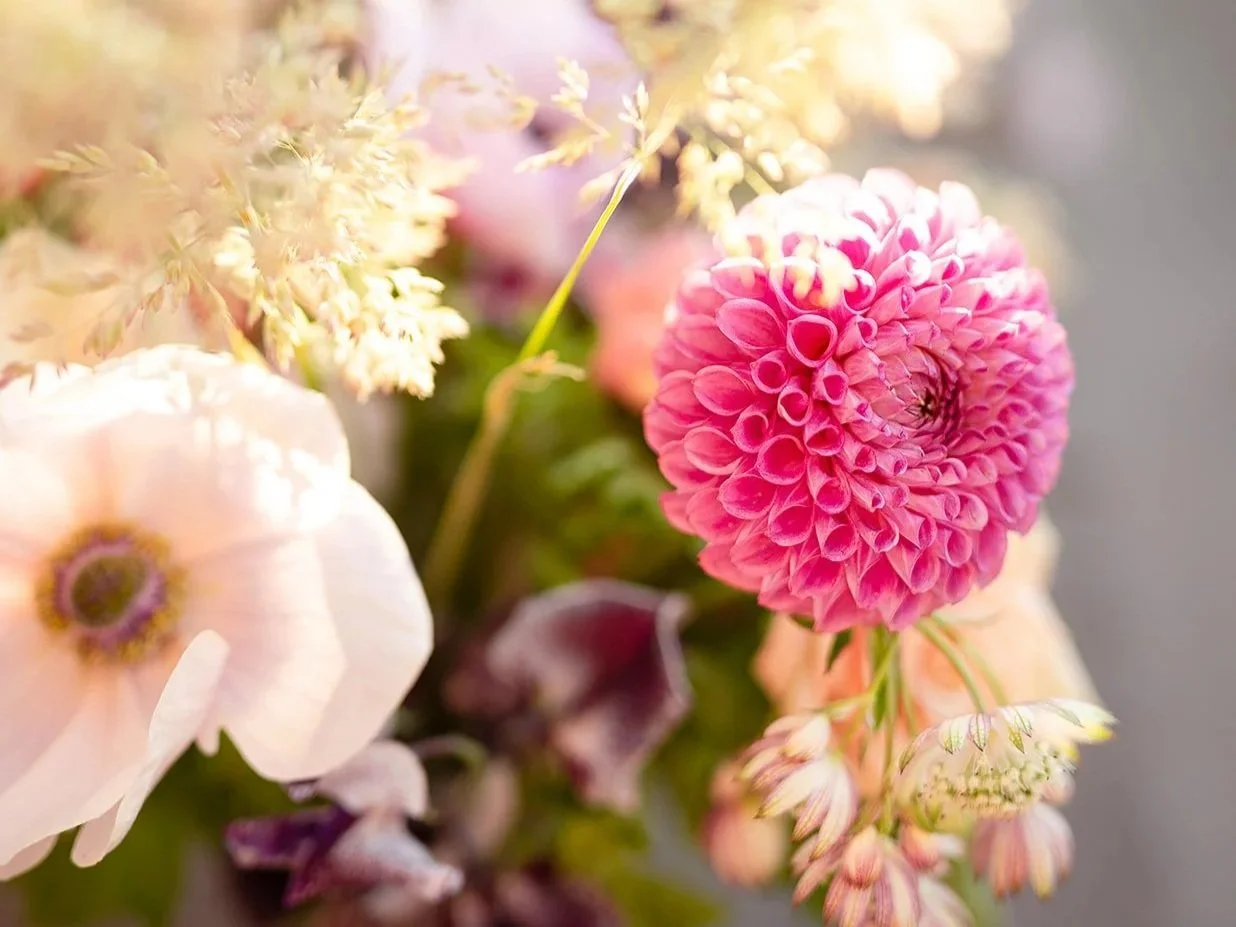 Close-up of a bouquet of pink and white flowers with blurred background.