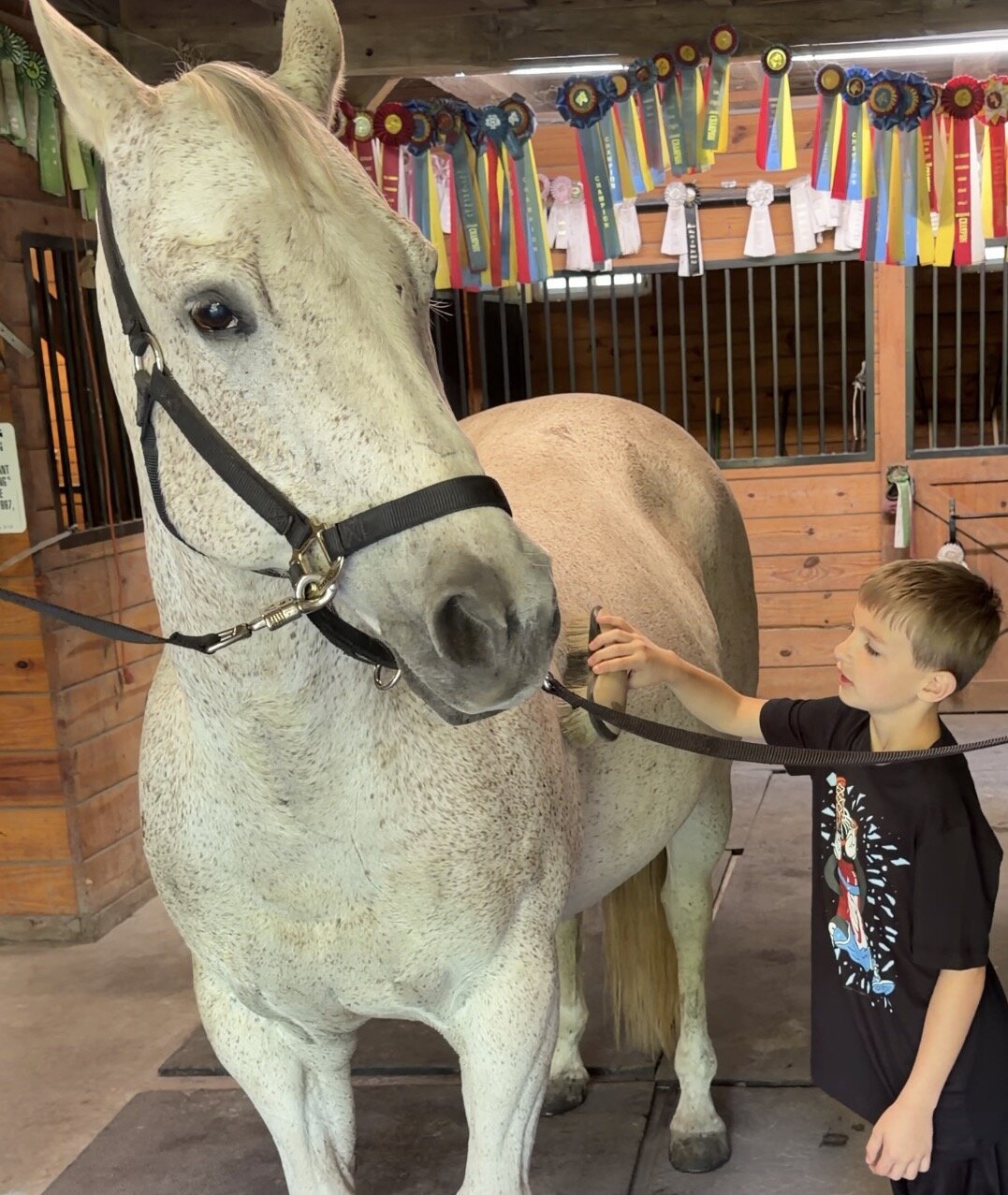 Child grooming a horse during a Speech Stable NJ session
