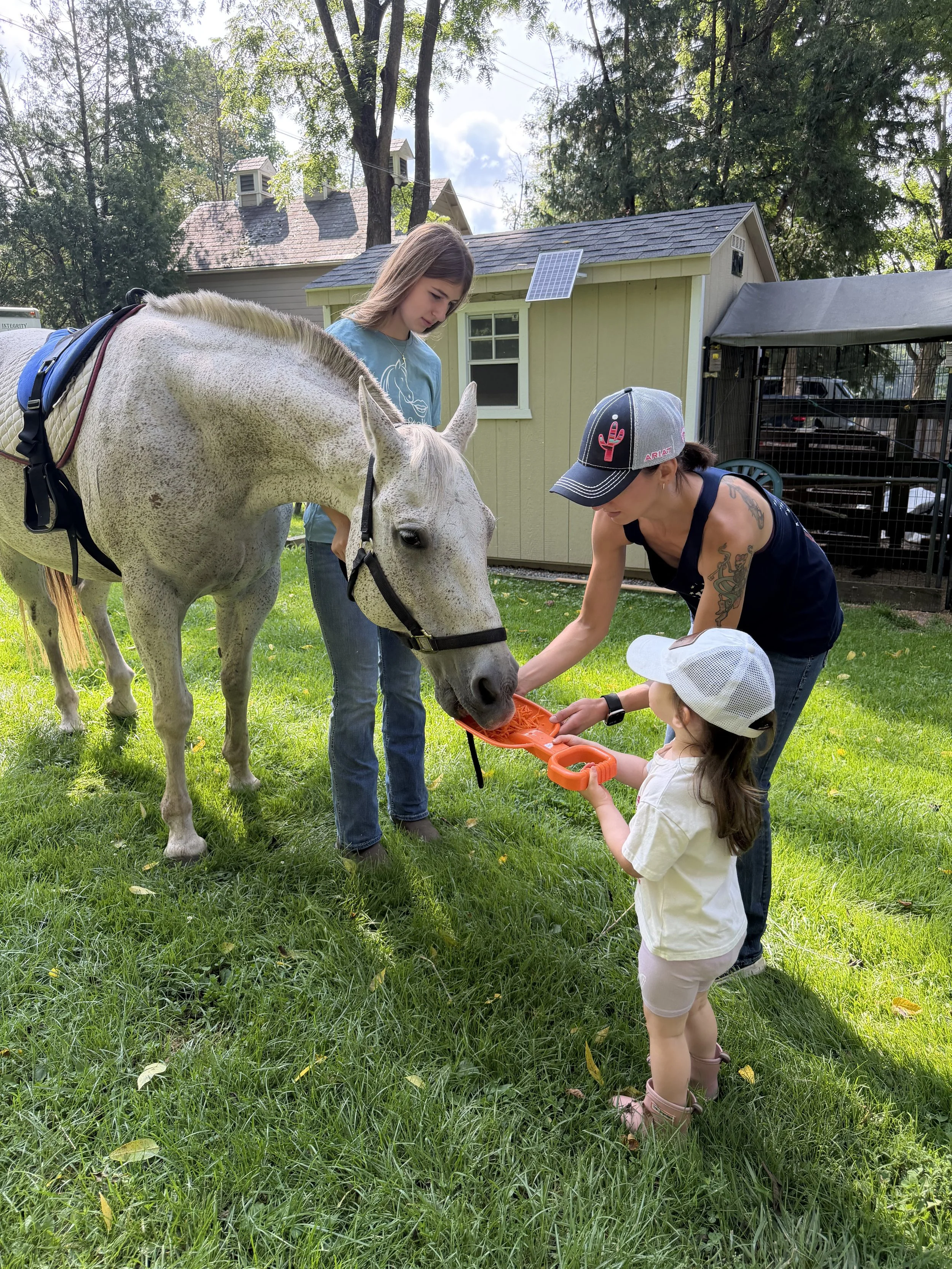 Child feeding a horse as part of a Speech Stable NJ therapy session