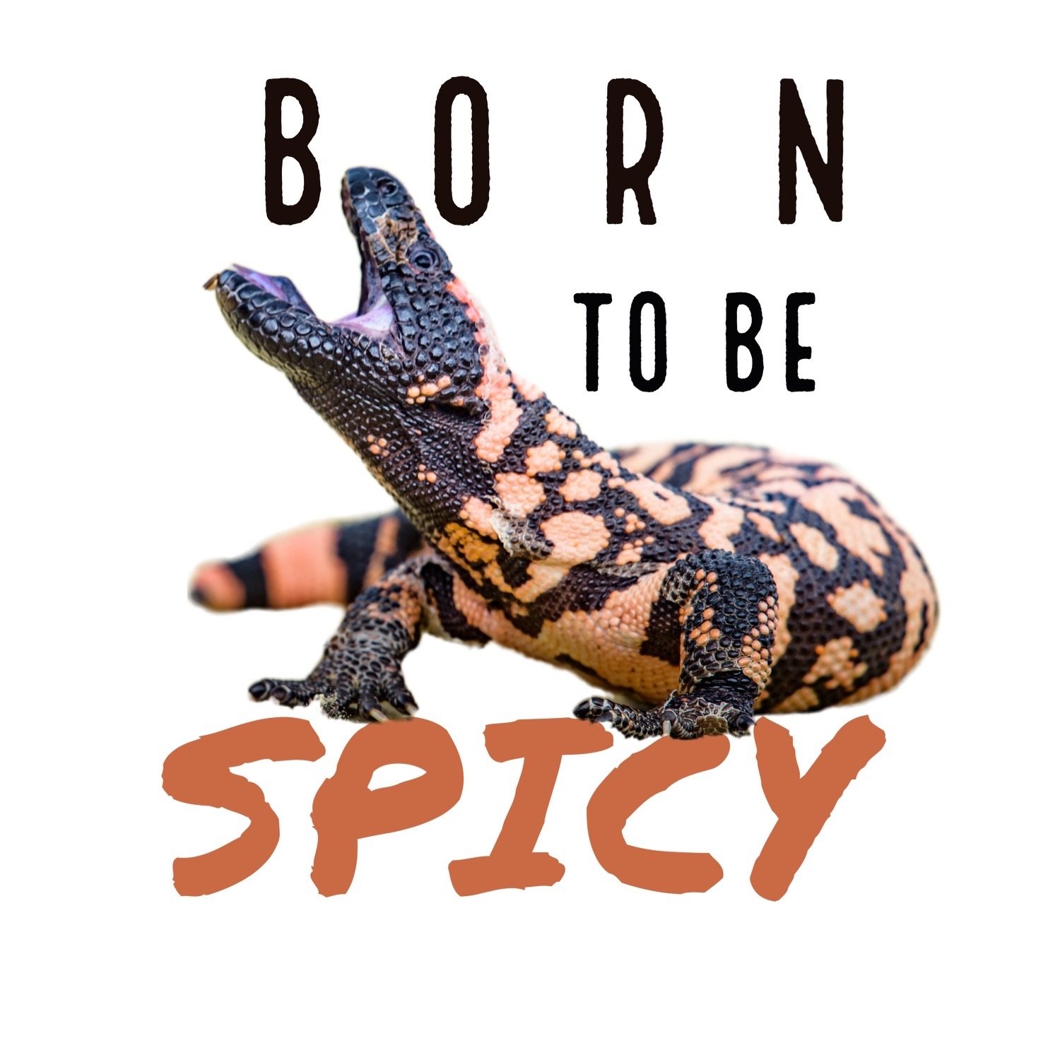 A colorful lizard with a pink and black pattern on its body, positioned with its mouth open, facing upward, related to themes of being born to be spicy.