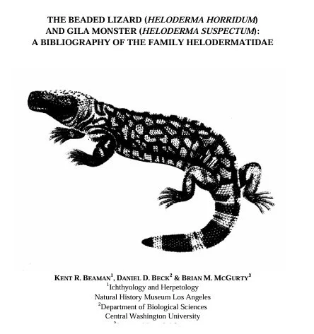 Black and white illustration of a beaded lizard, Heloderma horridum, displaying its textured skin and distinctive pattern.
