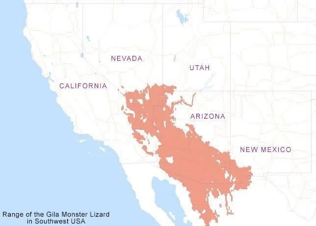 Map showing the range of the Gila Monster Lizard in the Southwest United States, including parts of California, Nevada, Utah, Arizona, and New Mexico, highlighted in red.