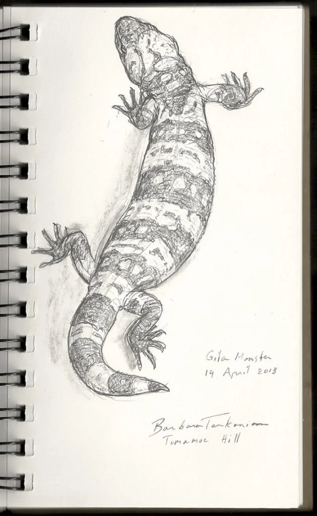 A detailed pencil sketch of a lizard on a spiral-bound sketchbook page, with handwritten notes and date.