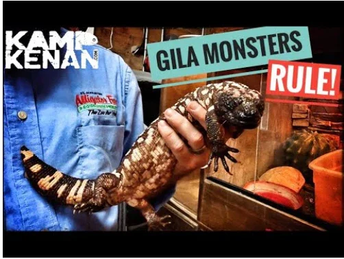 Person holding a Gila monster lizard inside a glass terrarium. Text overlays say 'GILA MONSTERS RULE!' with the brand logo 'KAMERKENAN' in the top left corner.