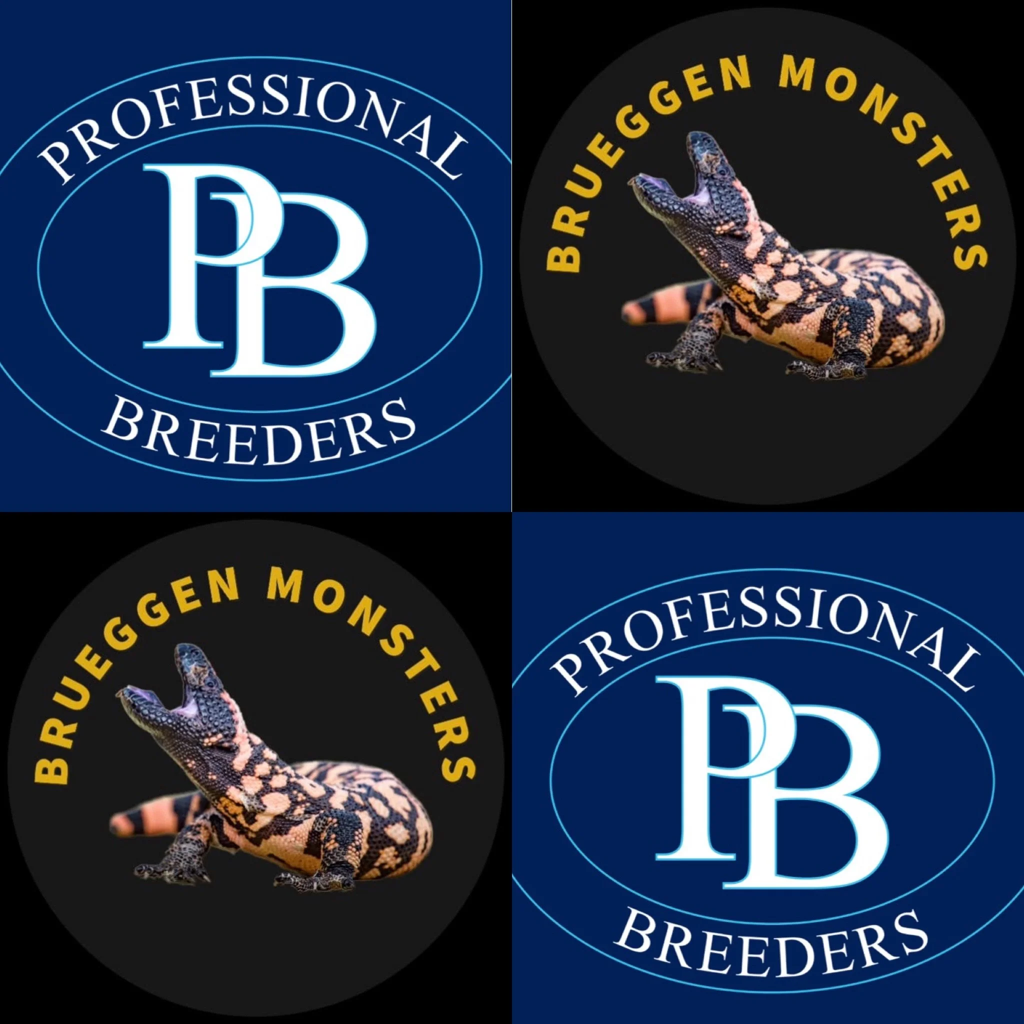 A graphic with two circular logos, one on a blue background reading 'PROFESSIONAL BREEDERS' and another on a black background showing a Gila Monster with the text 'BURGEGGEN MONSTER' around it.
