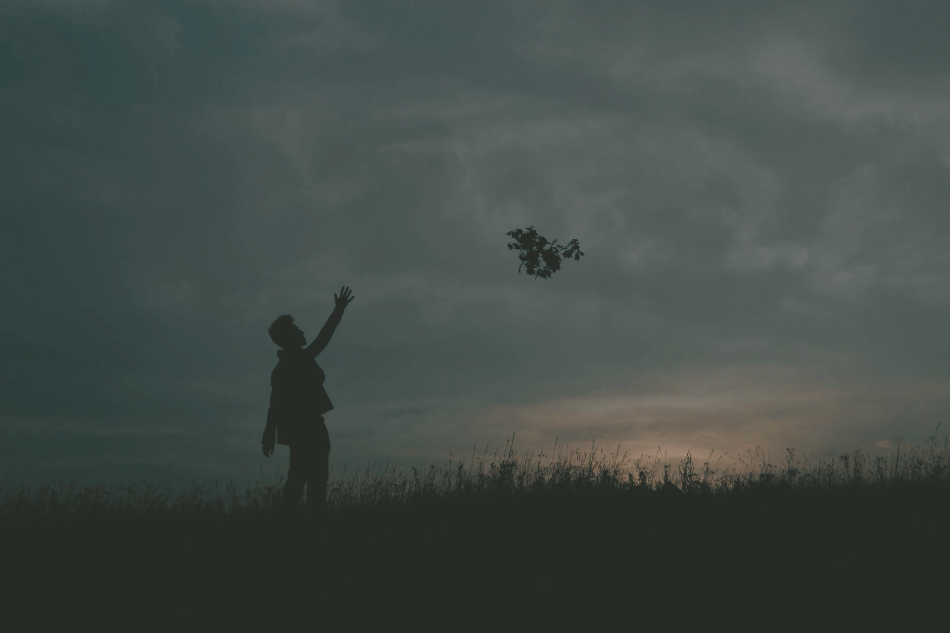 Attachment &amp; Loss: Why Letting Go of Unhelpful Behaviours is  So Hard