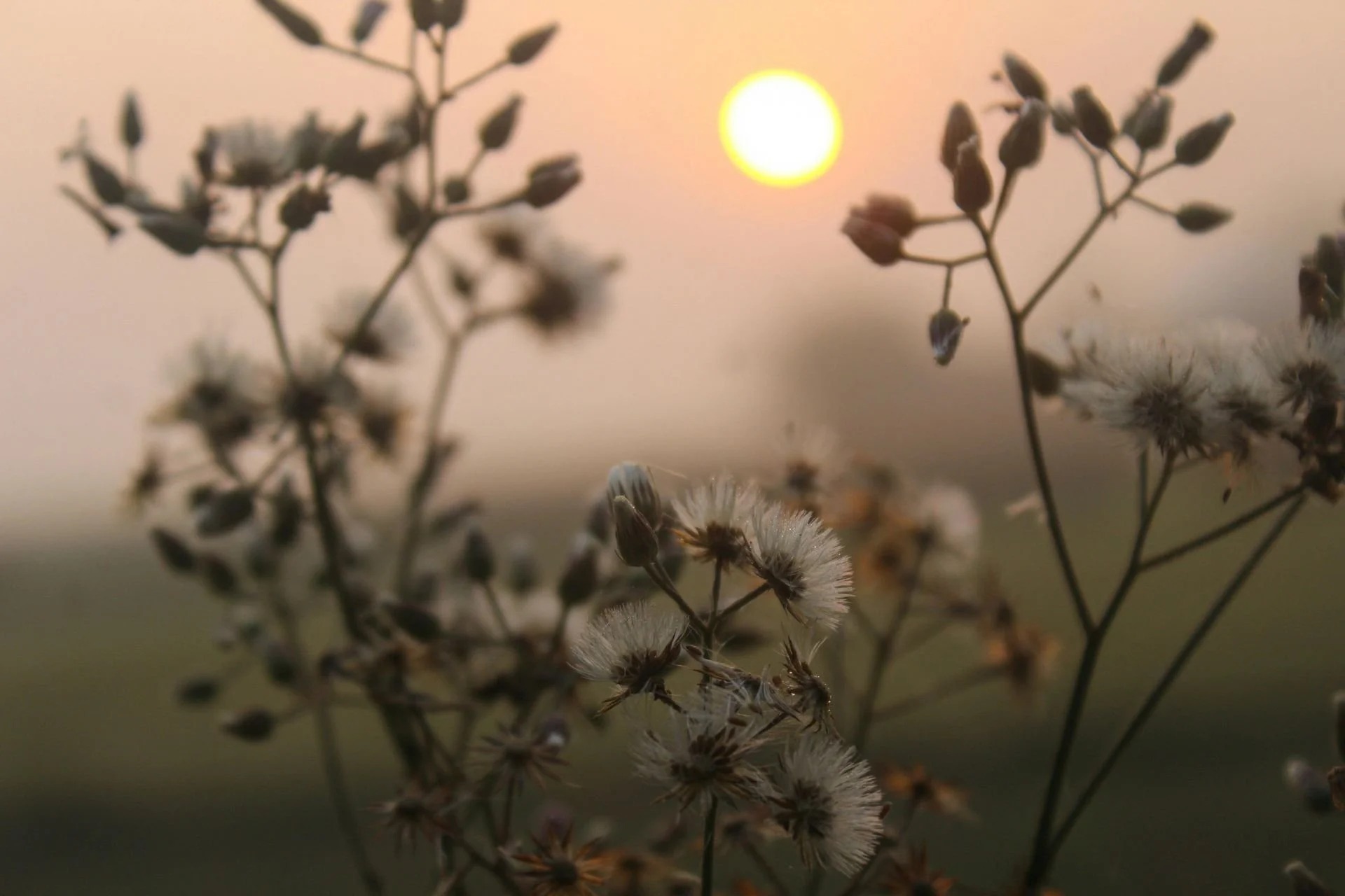 The Hidden Grief of Menopause: Navigating Loss and Identity Change