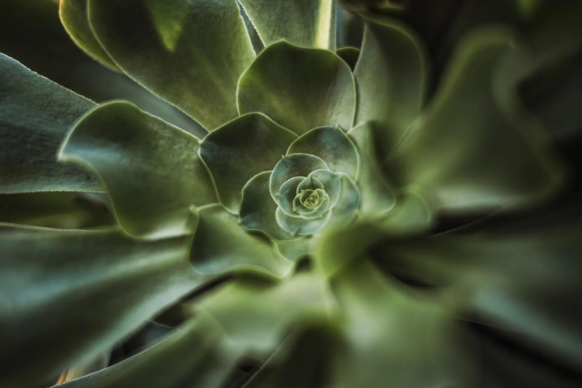 The Power of Stories: How Narratives Reflect and Shape Our Identity