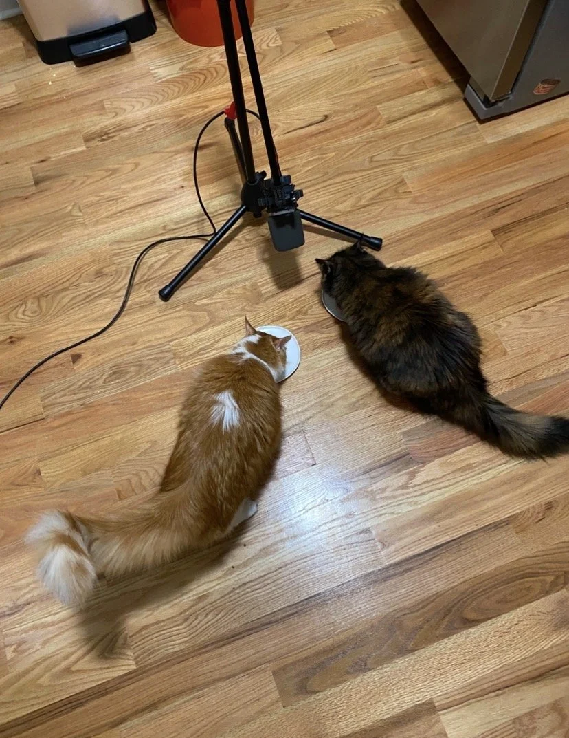 Foley & Sound Effects