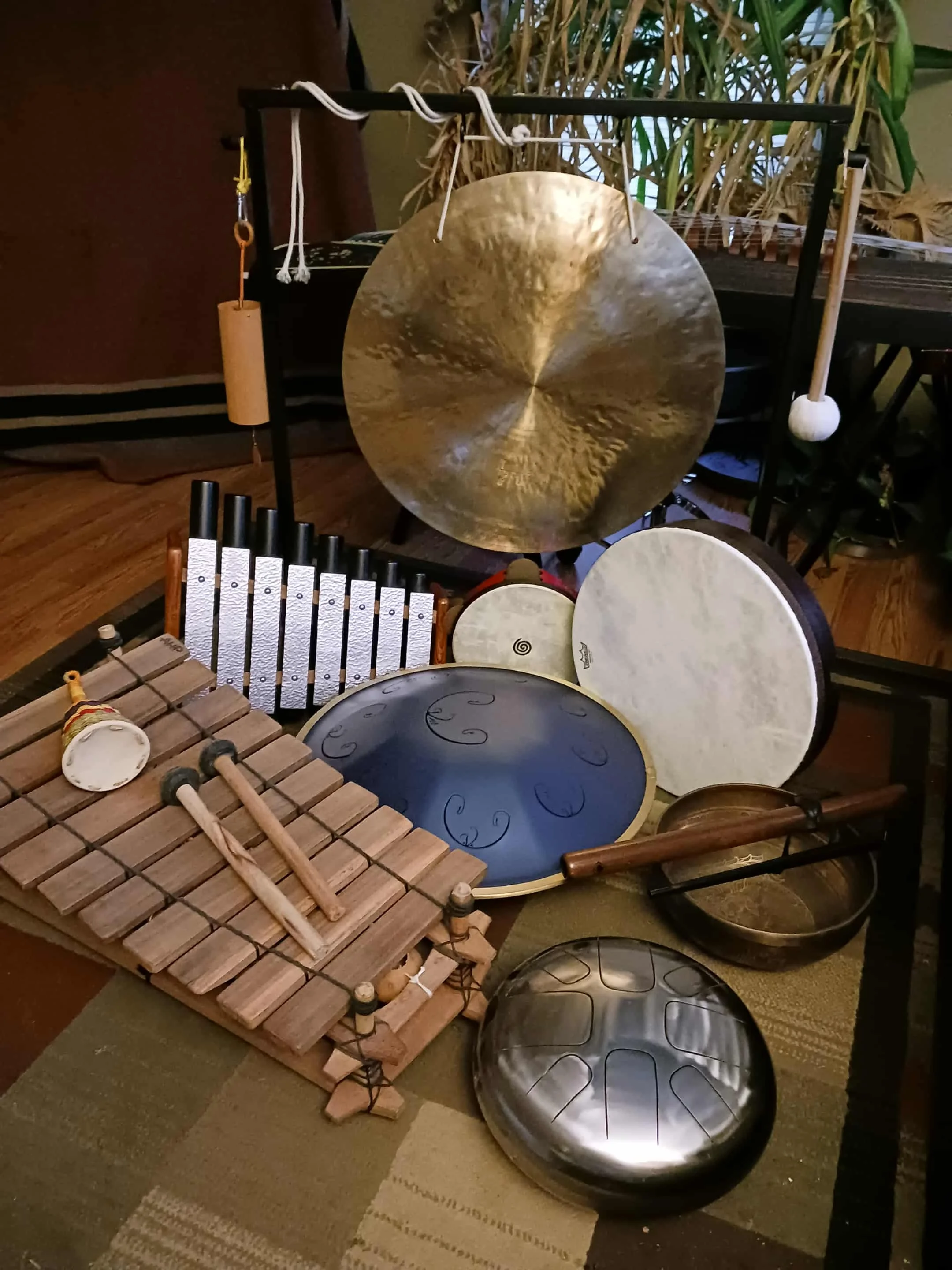 Arrangement of percussion instruments including a large gong hanging from a black stand, a vibraphone, a dancing drum, a drum with a spiral pattern, a metal handpan, and a wooden xylophone in a room with a carpeted floor and plants in the background.