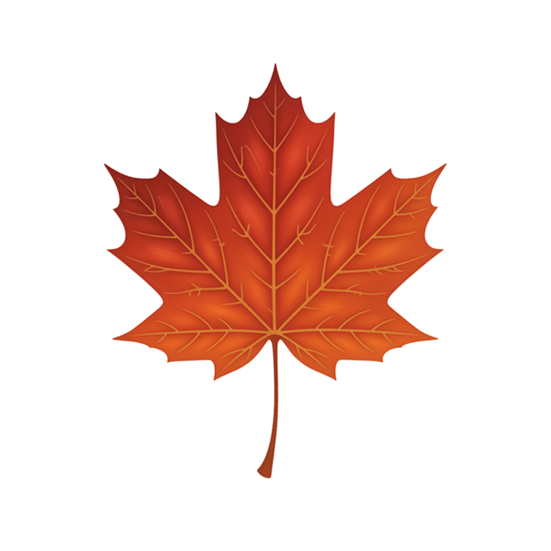 A realistic orange and red autumn maple leaf.