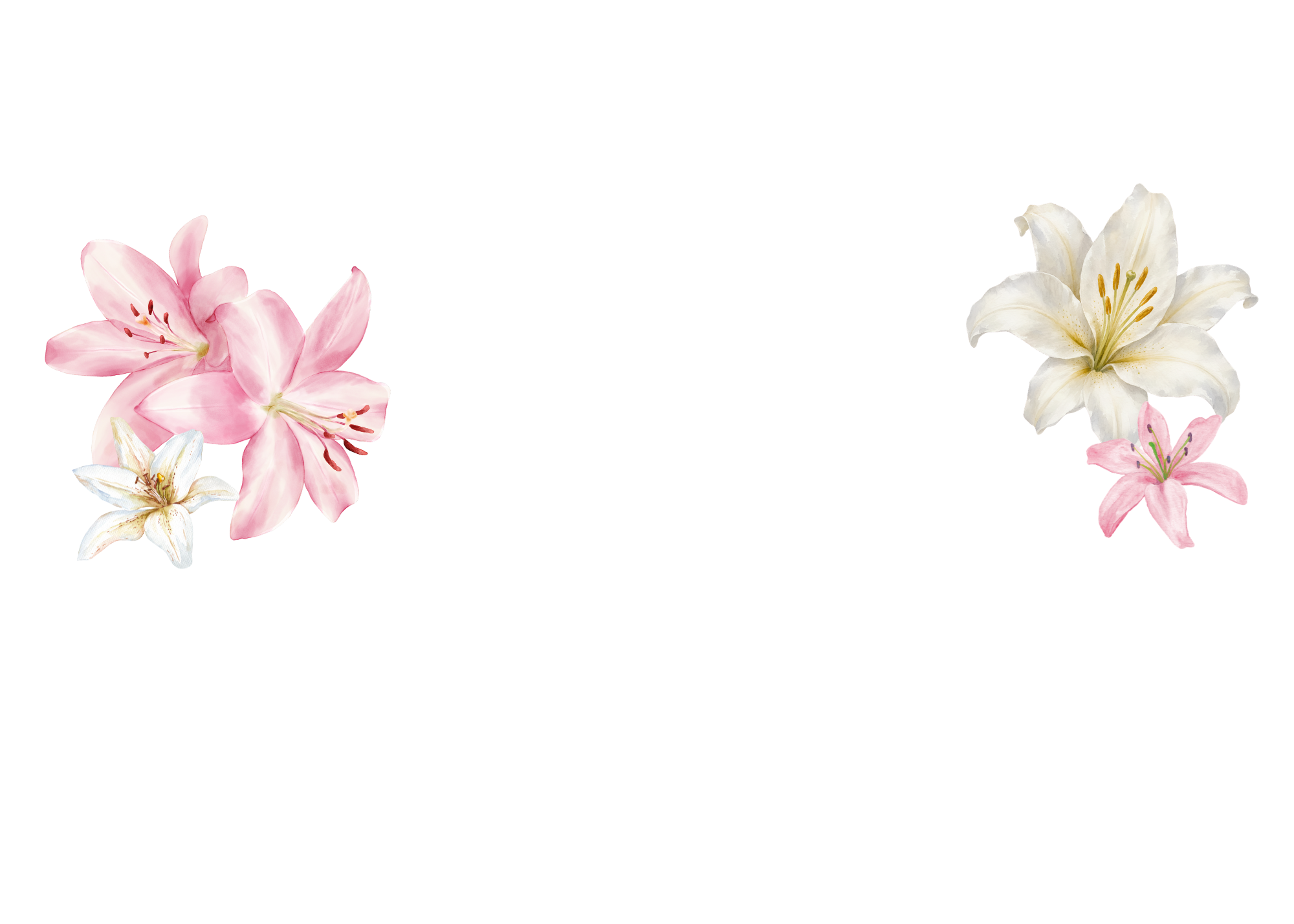 Watercolor illustrations of white and pink lilies at the bottom corners.