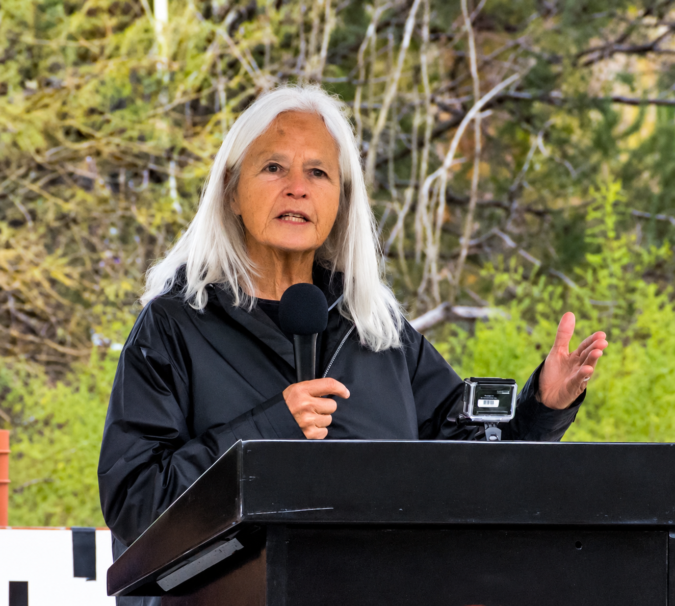 image of judith mcdaniel speaking at a podium with a microphone in her hand