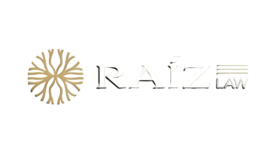 Raiz Law