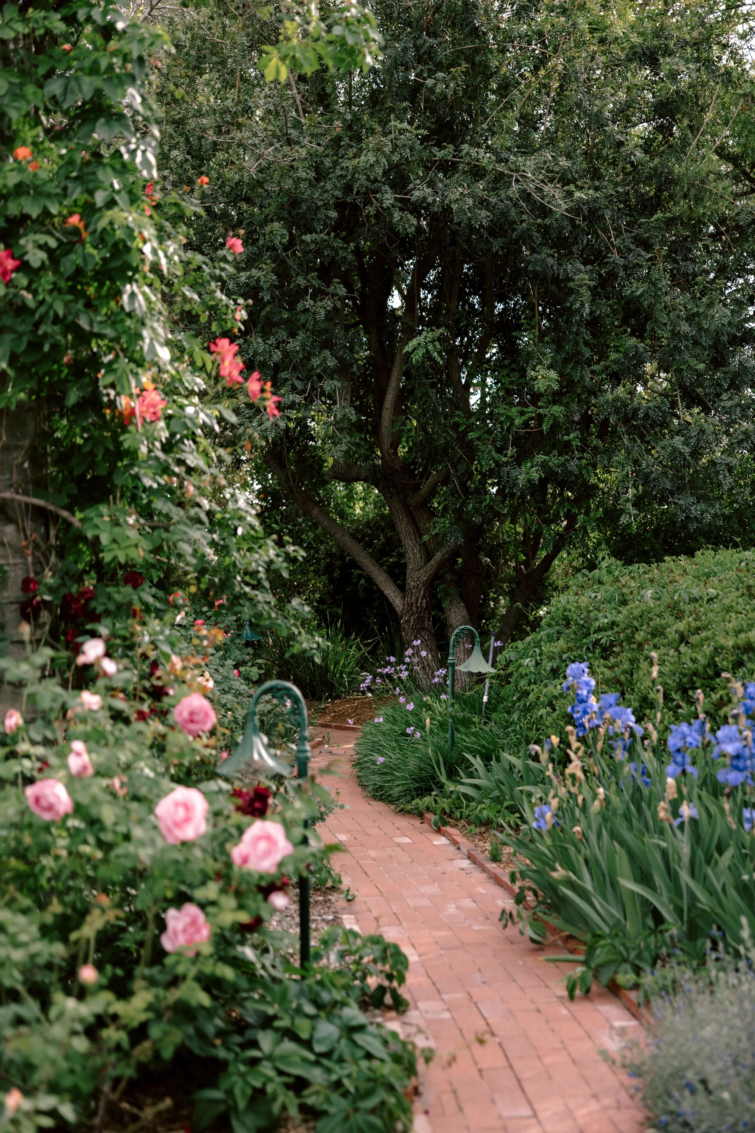 2026-04-20_ChristineFlowers362.jpg