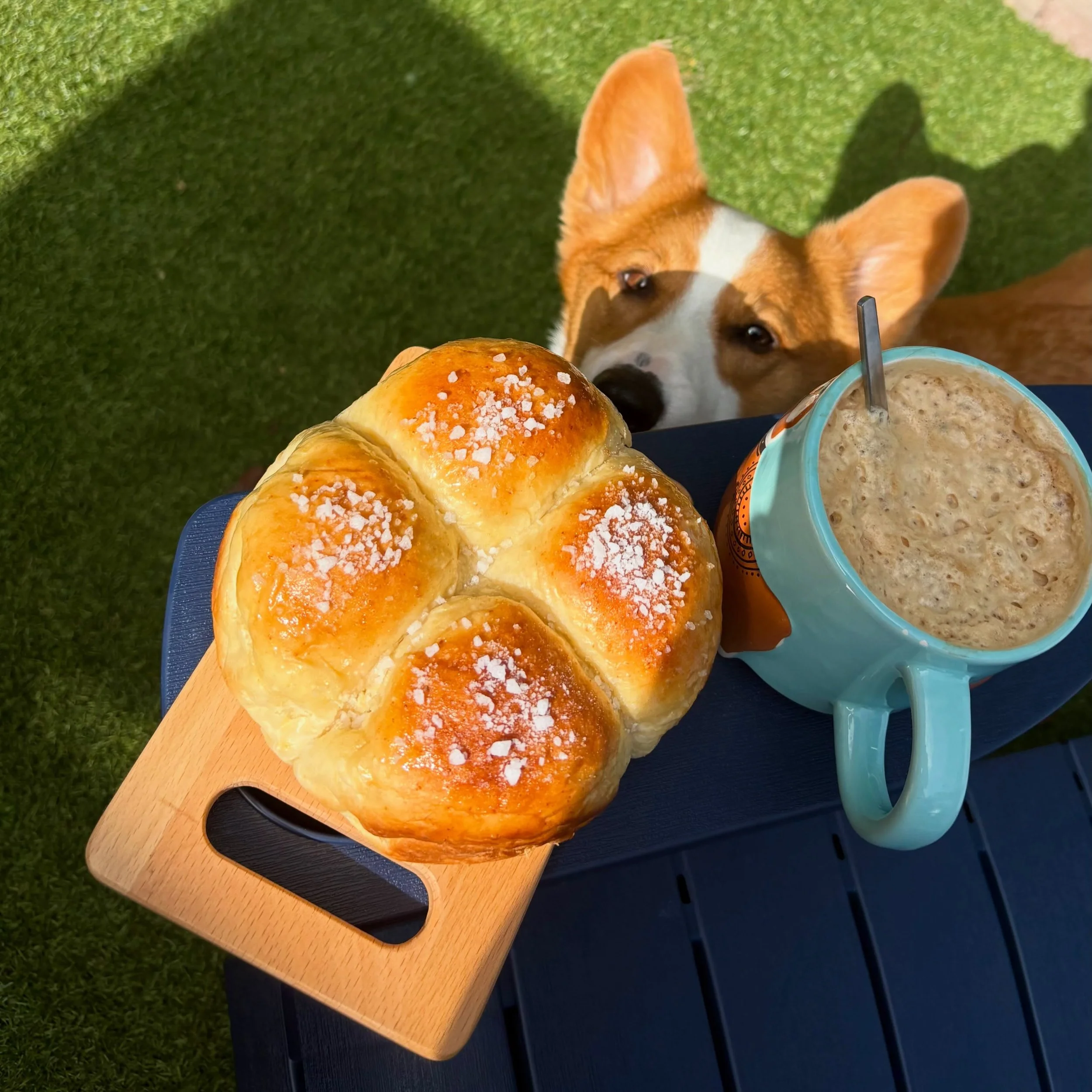 Even Cooper wants a bite. 🐶

🥐Get a free sample of our signature Sugar buns with every order placed this week!🥐

Orders OPEN today 10.a.m and CLOSE on Thursday 10 p.m.
link in bio to order 🍪🍫