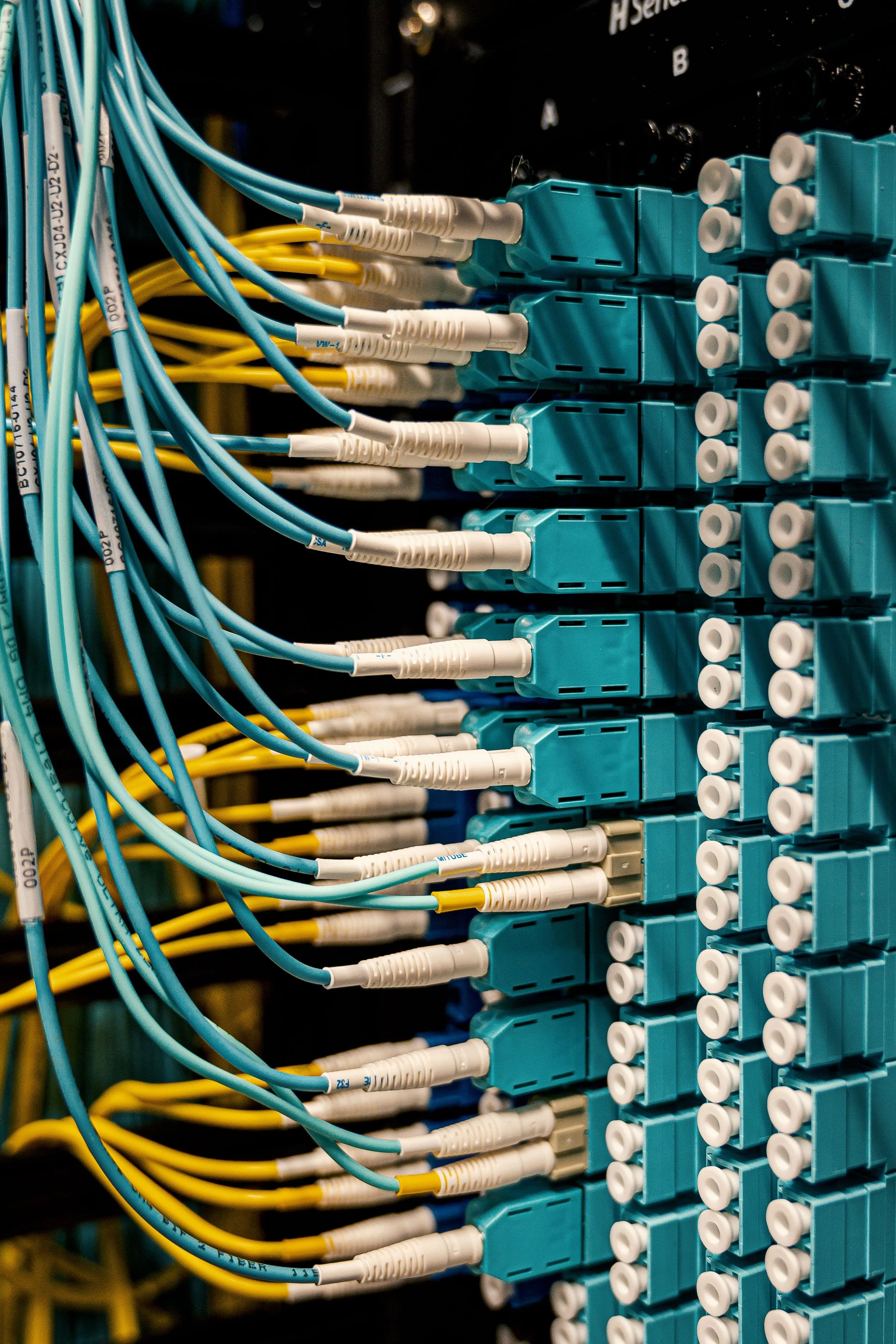 Close-up view of a network server rack with multiple blue fiber optic cable connectors and yellow Ethernet cables.