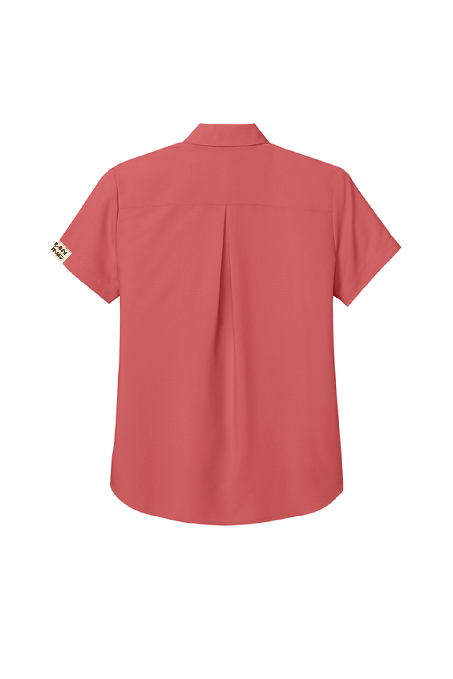 Dockside_coral_back.png