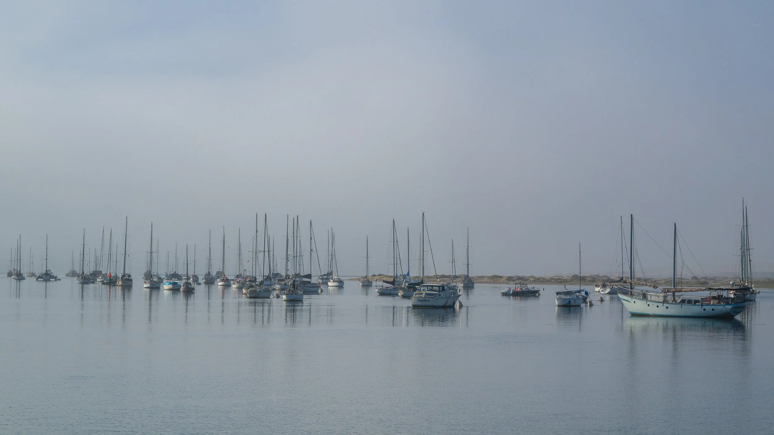 A harbor filled with various sailboats and yachts floating on calm water under a cloudy sky, with a shoreline in the background.
